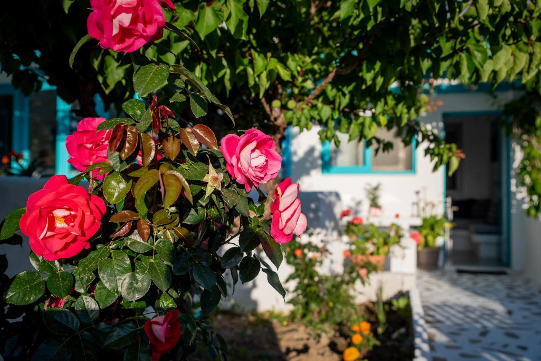 Azzurro Naxos, Azzurro I - Azzurro II - Azzurro III Apartment Naxos City Ngoại thất bức ảnh